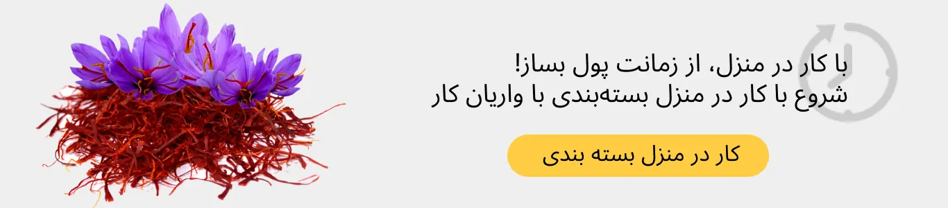 انواع مدل‌های کاریابی اینترنتی در منزل