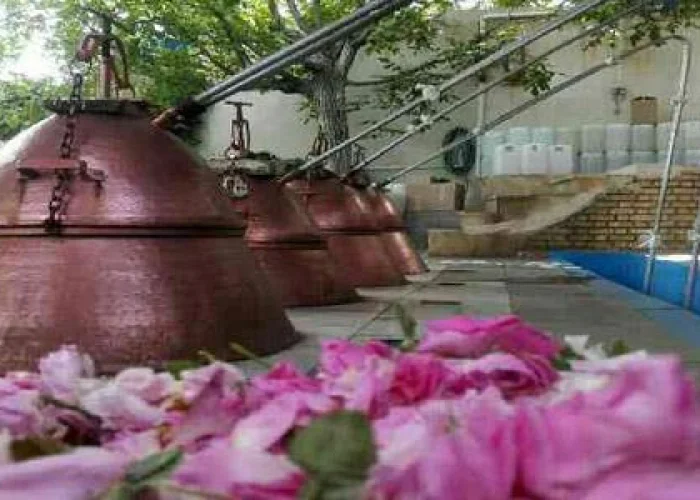 راه اندازی کارگاه تولید گلاب و عرقیجات در ایلام شروعی مطمئن