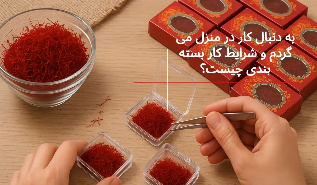 دنبال کار در منزل می گردم | معرفی انواع مدل‌های کار در منزل