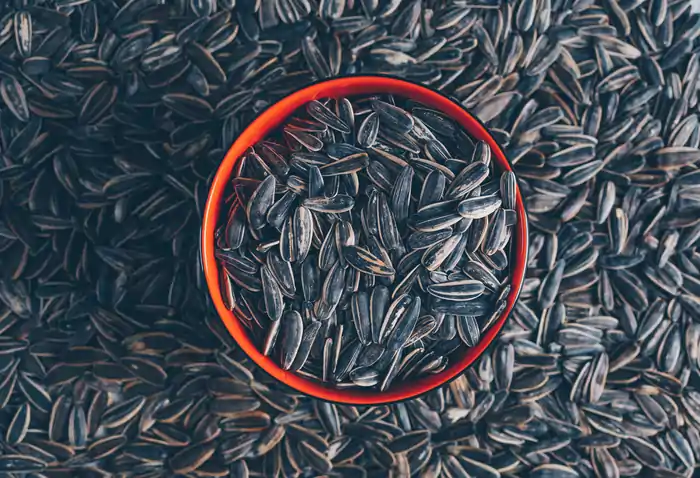 کار در منزل بسته بندی تخمه با حقوق تضمینی و آسودگی خاطر