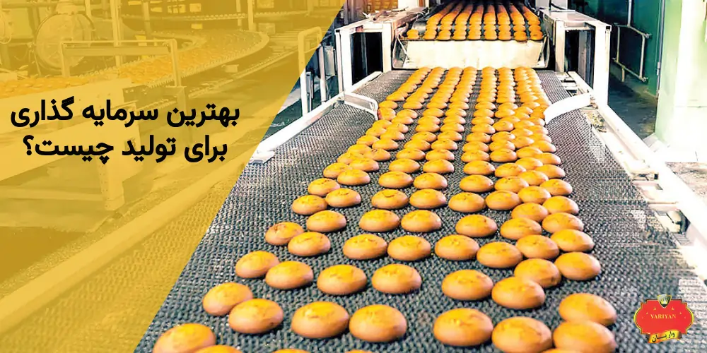 پیشنهاداتی برای سرمایه گذاری در تولید