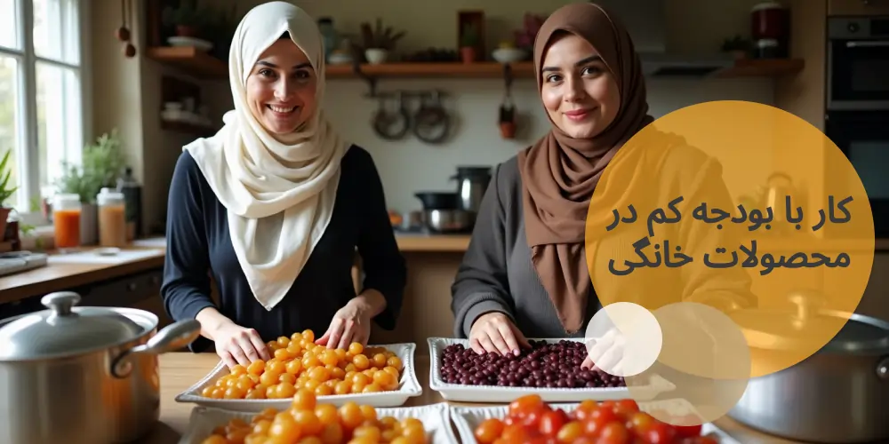 کار با بودجه کم در محصولات خانگی