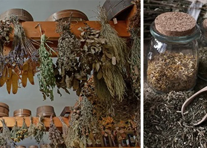 بسته بندی سبزیجات خشک در سمنان