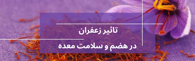تاثیر و خواص زعفران در هضم و سلامت معده