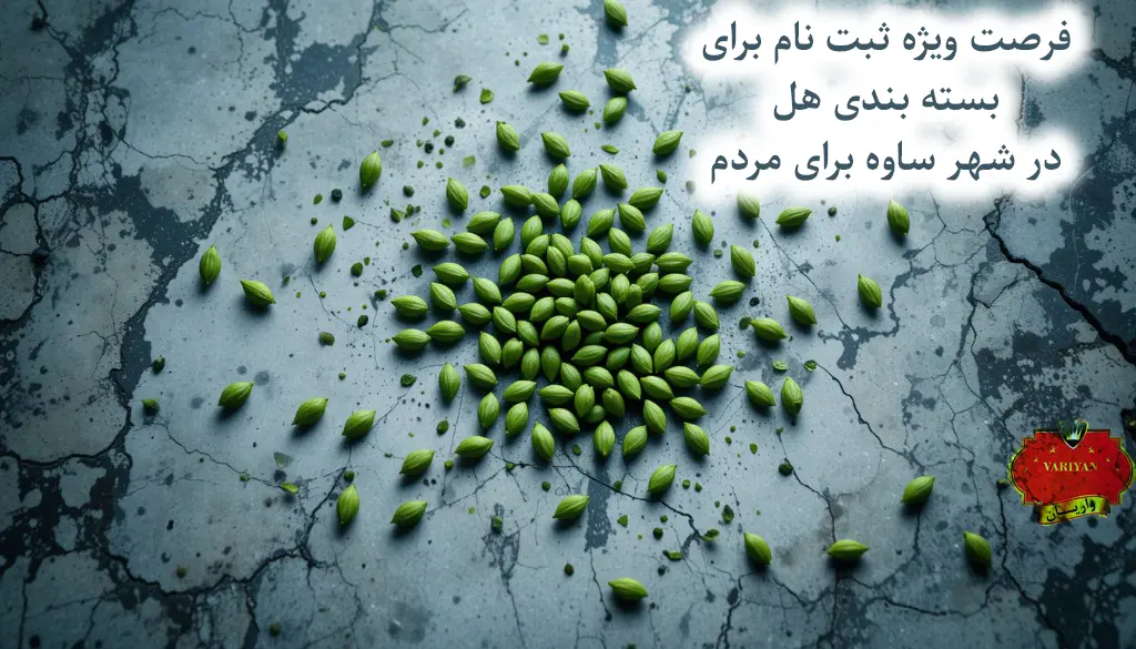 بسته بندی هل در ساوه با درآمد واقعی و حمایت شرکتی